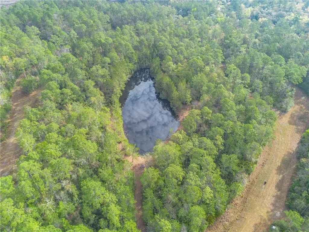 0 US 17 Highway, Waverly, GA 31565, Waverly, Georgia, United States. - Photo 8