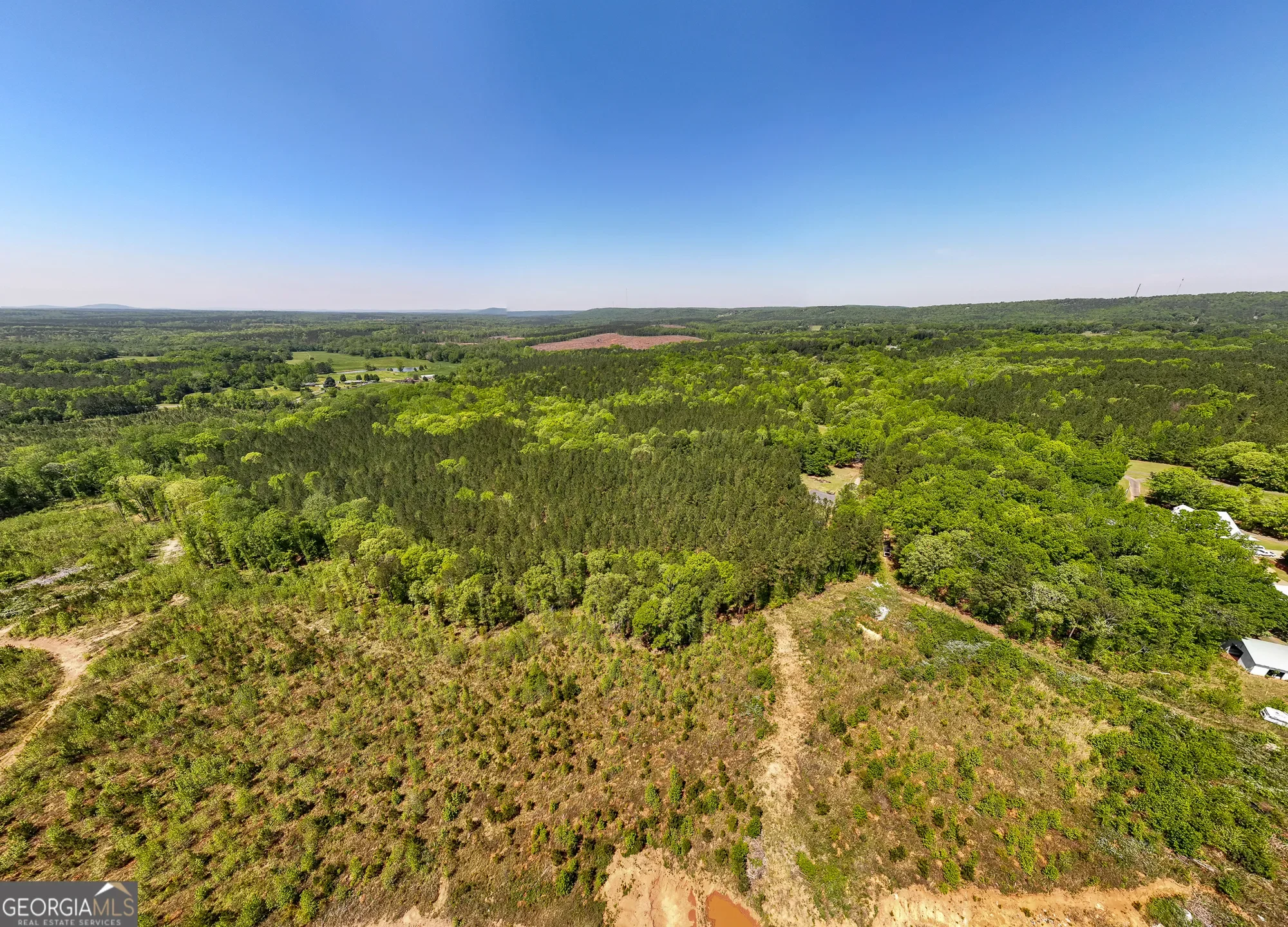 Shiloh, Georgia, United States. - Photo 32