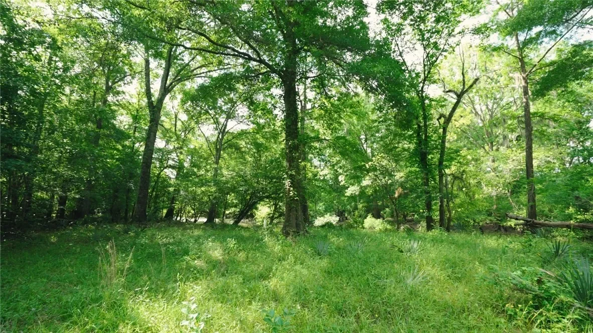 0 East River Road, Other, GA 31544, Jacksonville, Georgia, United States. - Photo 5