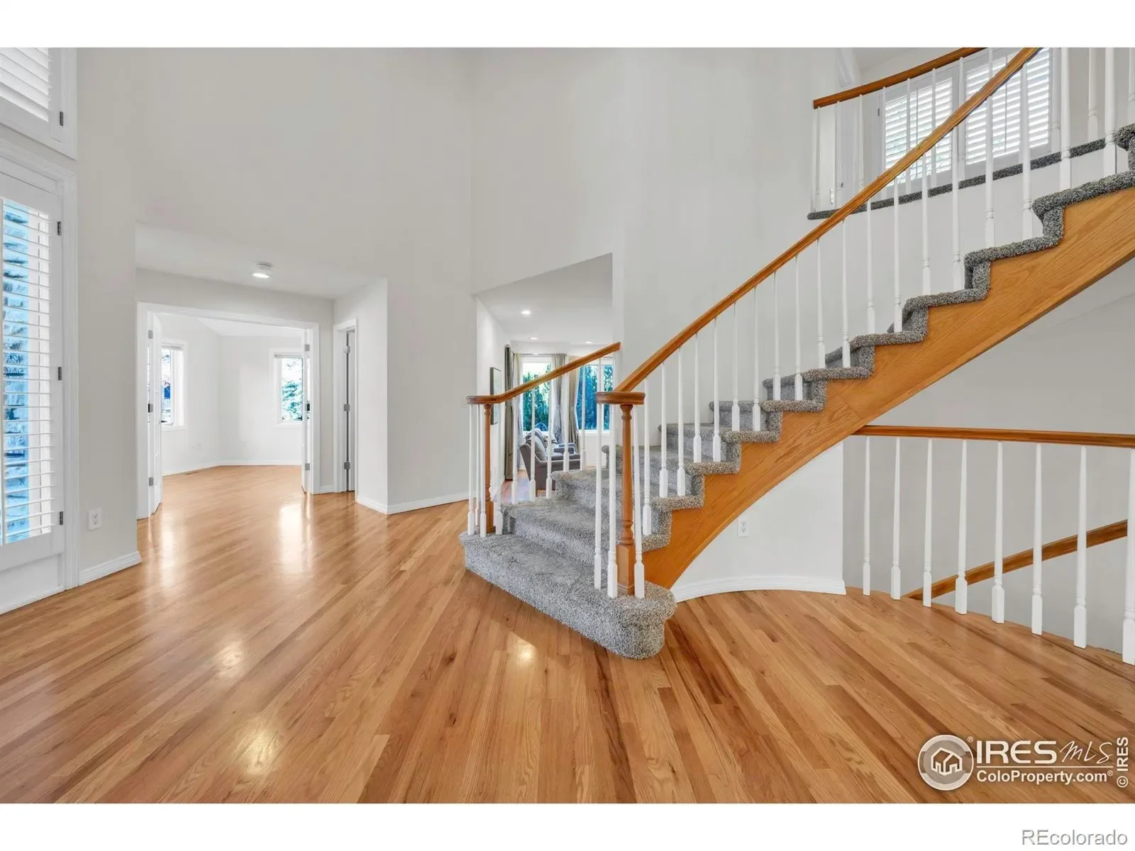 Gallery photo 2