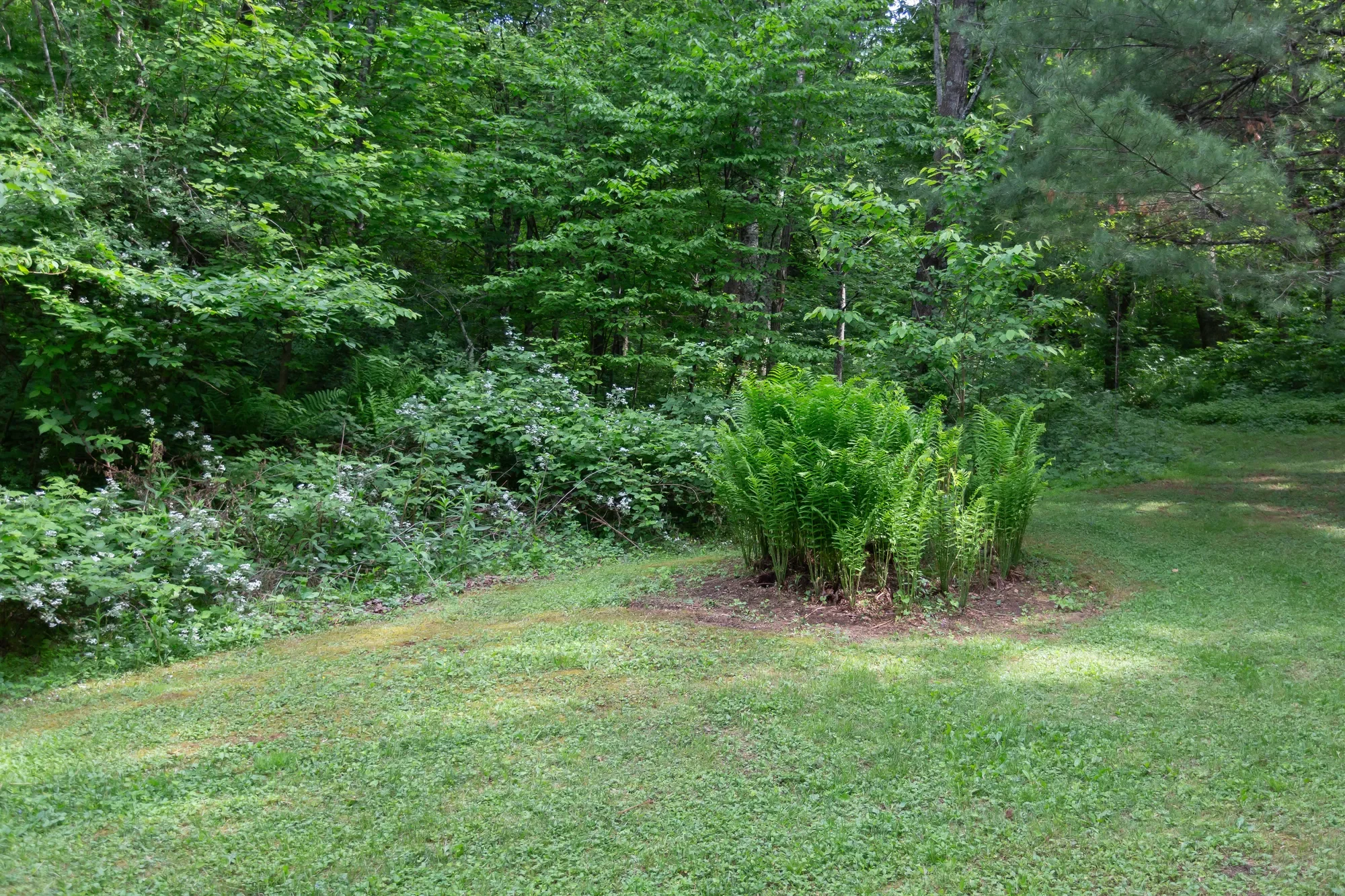 170 & 174 Sarvisberry Ln SW, Floyd, VA 24091, Floyd, Virginia, United States. - Photo 74