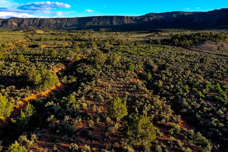 Sinbad Ranch , Gateway, CO 81522, Gateway, Colorado, United States. - Photo 42