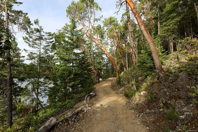 0 Tan Island, Strathcona B, British Columbia, Canada. - Photo 37