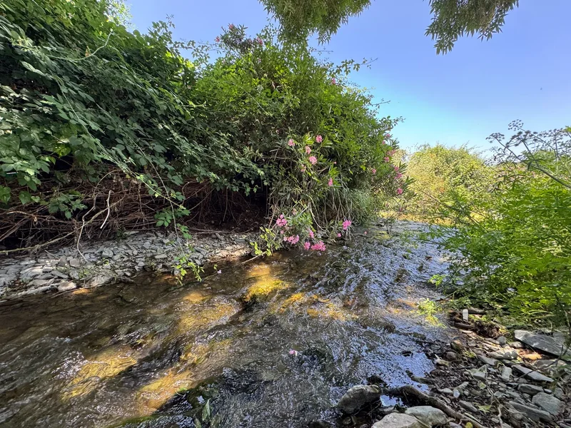 41370 Cazalla de la Sierra, Seville, Spain, Cazalla de la Sierra, Andalusia, Spain. - Photo 38
