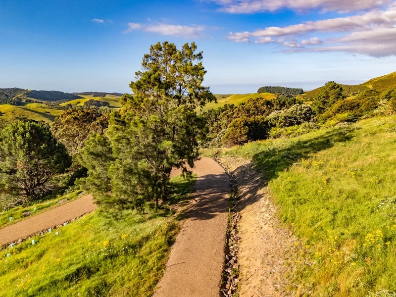 79-85 Awaawaroa Road, Waiheke Island, AUK, Waiheke Island, Auckland, New Zealand. - Photo 8
