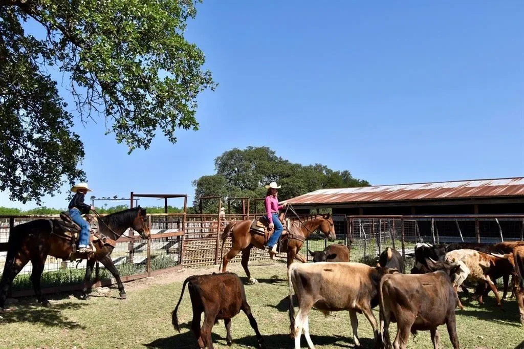 8228 US HWY 377, Rochelle, Texas, United States. - Photo 17