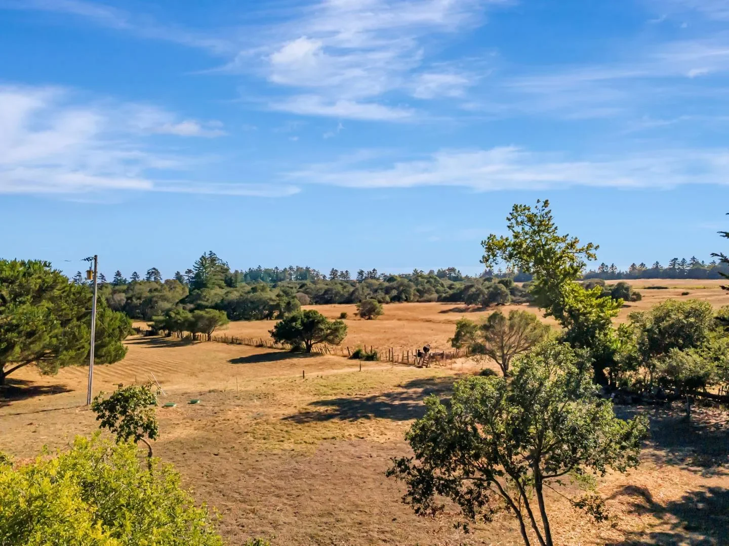 222 Highview Drive, Santa Cruz, California, United States. - Photo 21