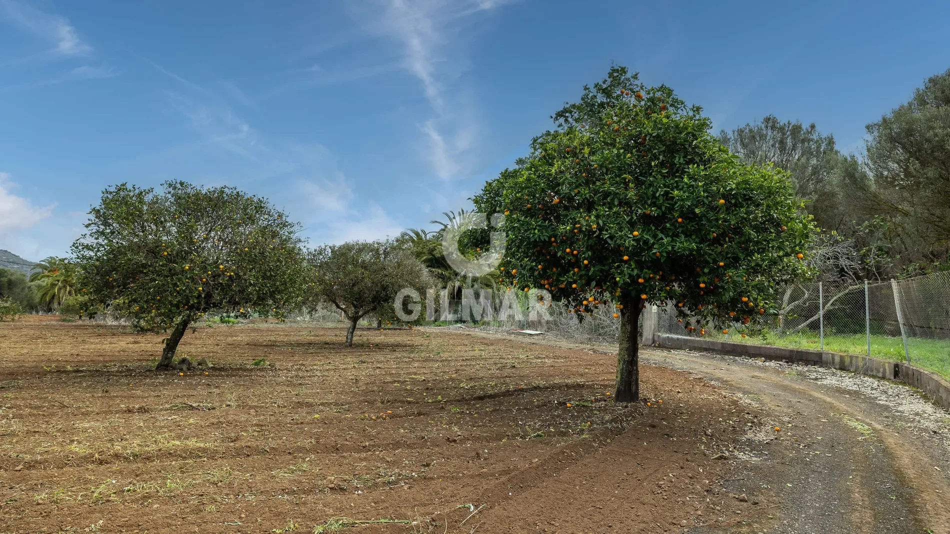 SANTA BRÍGIDA, Las Palmas, SANTA BRÍGIDA, Santa Brigida, Canary Islands, Spain. - Photo 30