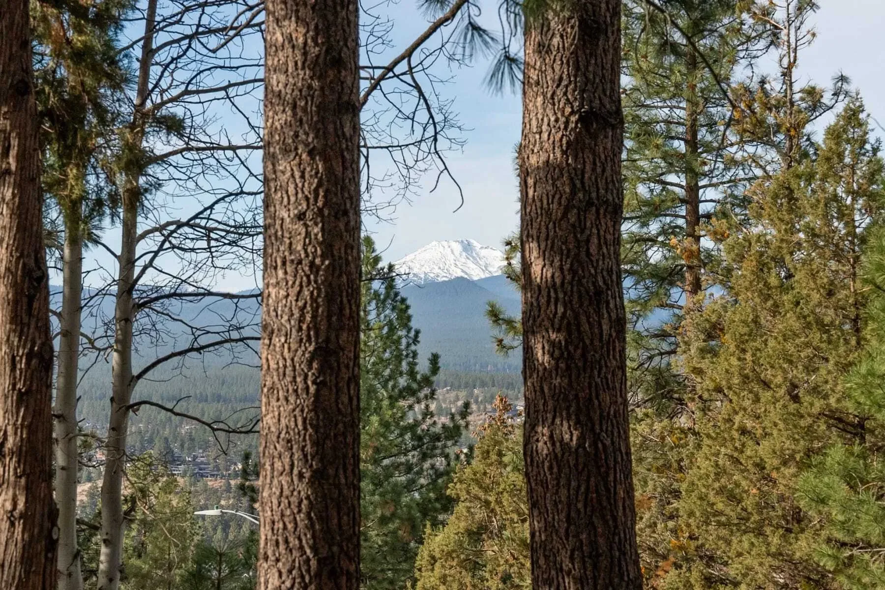 1986 NW Rimrock Road , Bend, OR 97703, Bend, Oregon, United States. - Photo 11