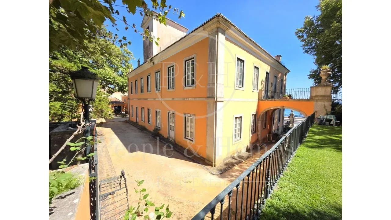 Gallery photo 7