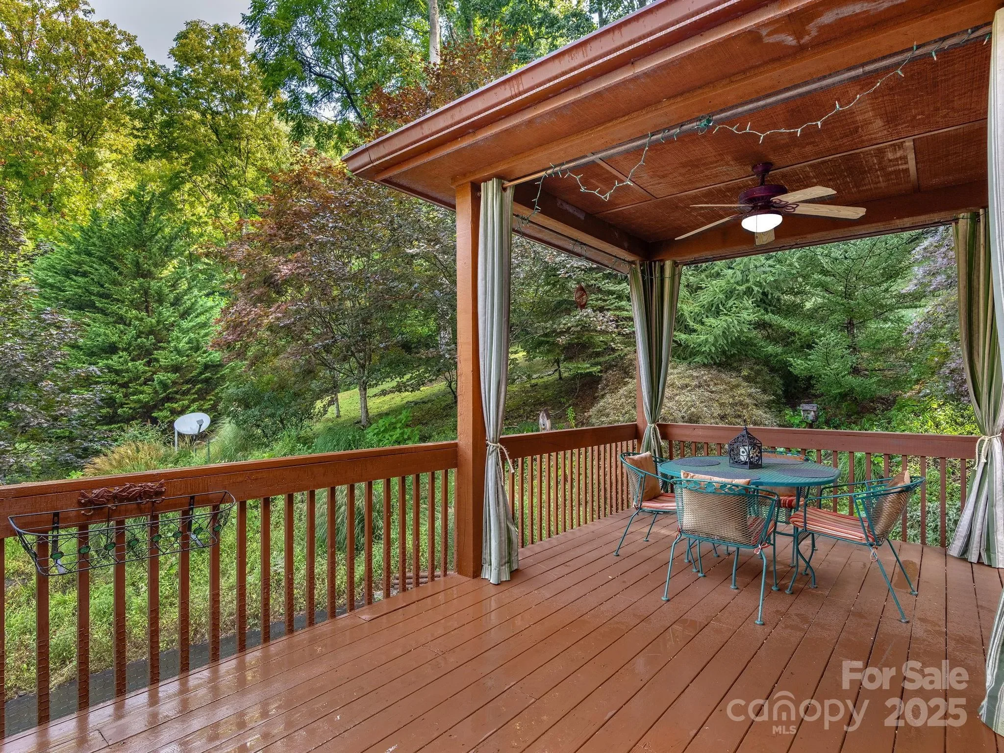 420 Chimney Rock Drive, Weaverville, NC 28787, Weaverville, North Carolina, United States. - Photo 7