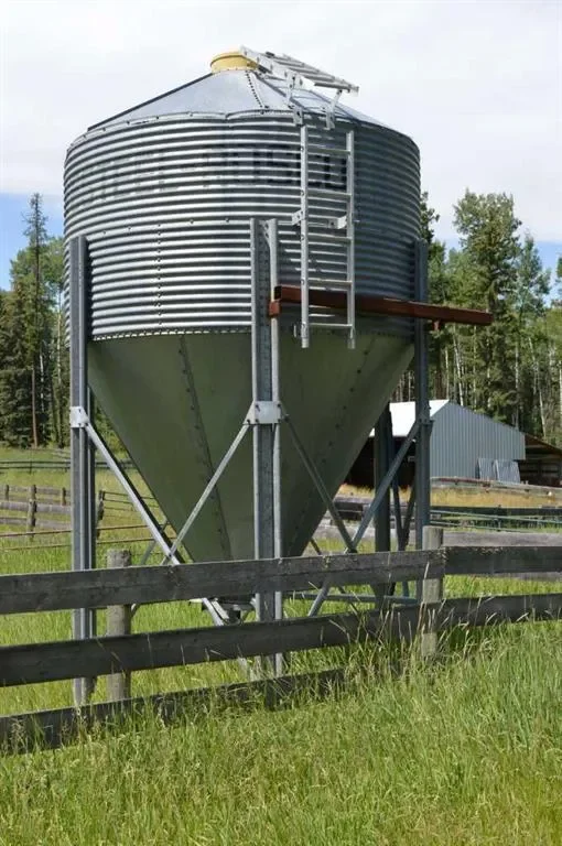 404010 Range Road 9-5A, Rural Clearwater County, AB, T0M 1T0, CANADA, Beiseker, Alberta, Canada. - Photo 43