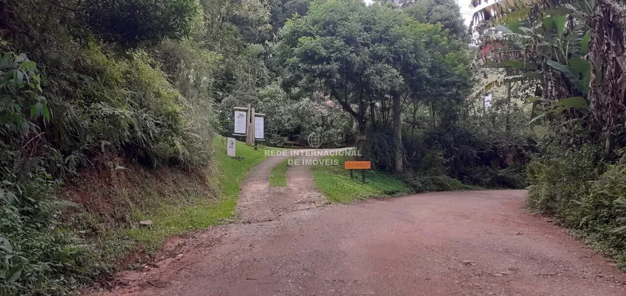 State of São Paulo, Brazil. - Photo 29