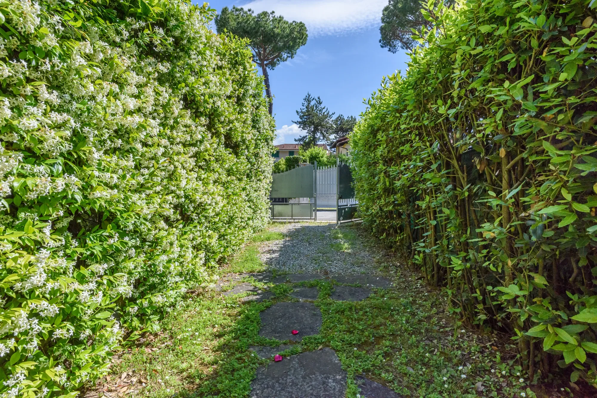 Exterior photo 5