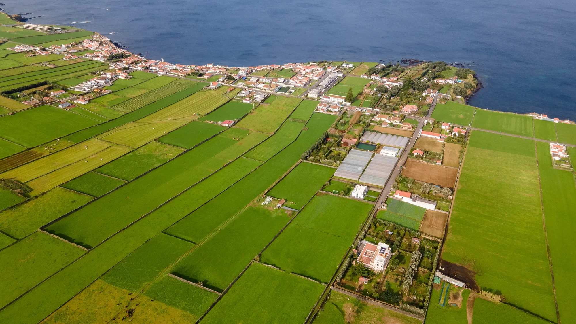 Canada do Morgado, 9500 Calhetas, Portugal, Calhetas, Azores, Portugal. - Photo 35