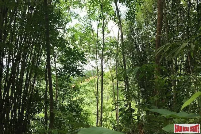 Phang Nga,, Tha Yu, Phang-nga, Thailand. - Photo 3