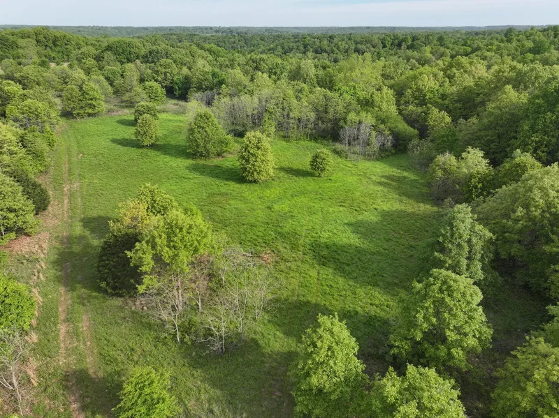 143 Horton Road, Rocky Comfort, MO 64861, Rocky Comfort, Missouri, United States. - Photo 4