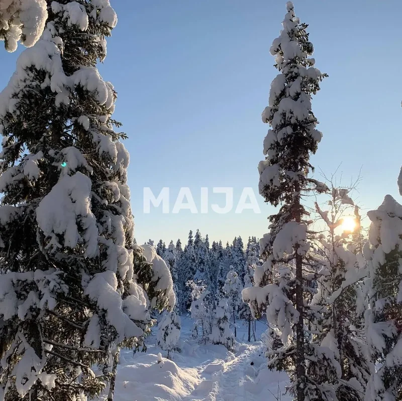 Pitkävaarantie, Kemijärvi, Lapland, Finland. - Photo 7