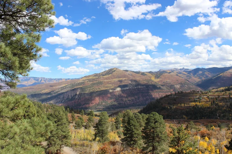 178 Valley View Road , Ridgway, CO 81432, Ridgway, Colorado, United States. - Photo 11