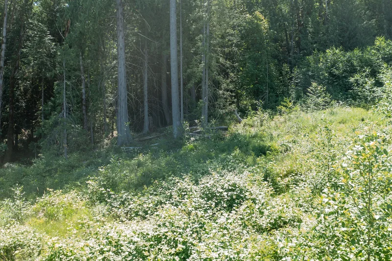 Development Lot In Ladysmith