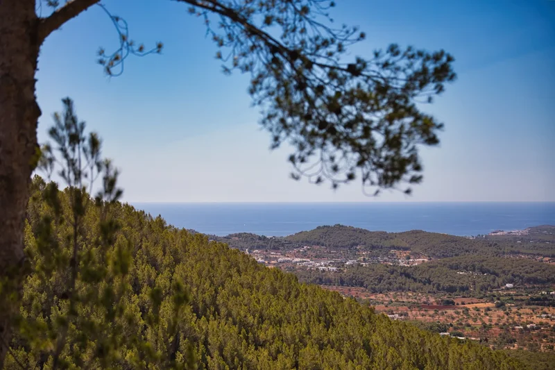 Cmo. Morna Valley, 07810, Illes Balears, Spain, Sant Joan de Labritja, Balearic Islands, Spain. - Photo 24