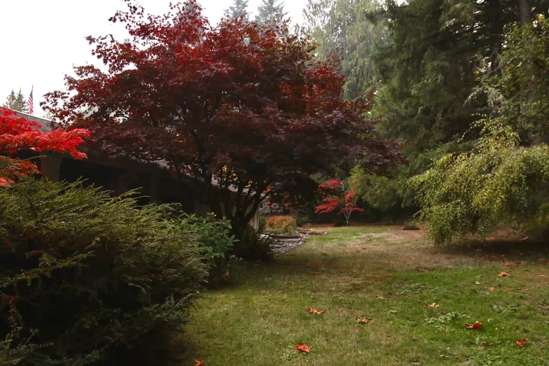 12620 Old Military Rd , Poulsbo, WA 98370, Poulsbo, Washington, United States. - Photo 20
