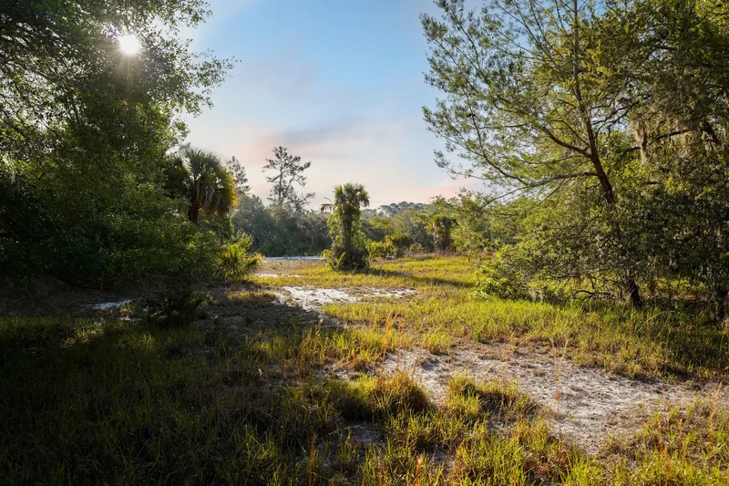 356 Drayton Island Rd , Georgetown, FL 32139, Georgetown, Florida, United States. - Photo 29