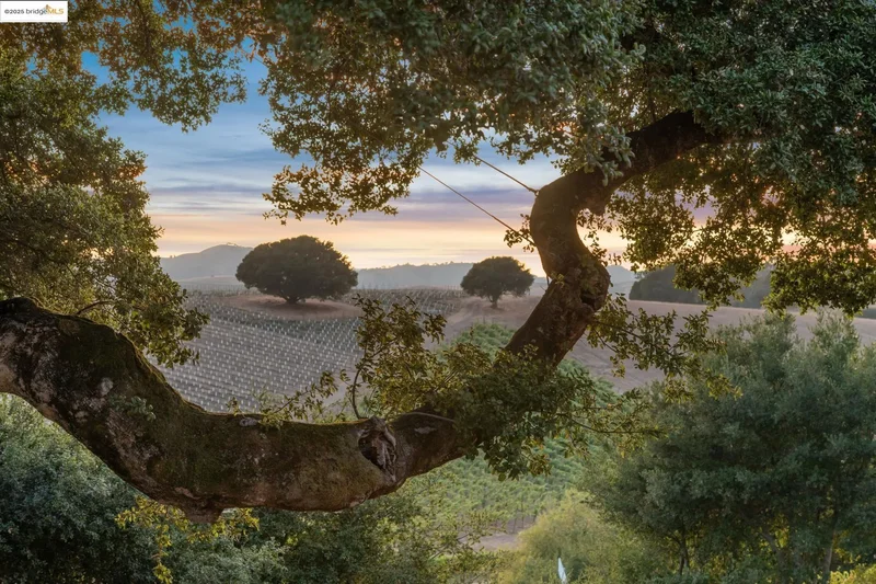 1531 Foster Rd, Napa, California, United States. - Photo 20