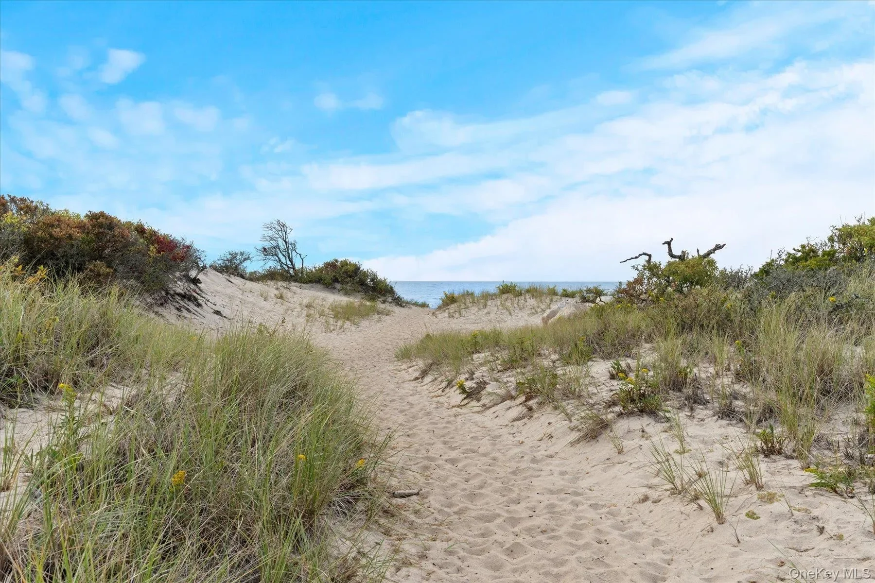 3630 Soundview Avenue, Southold, New York, United States. - Photo 30