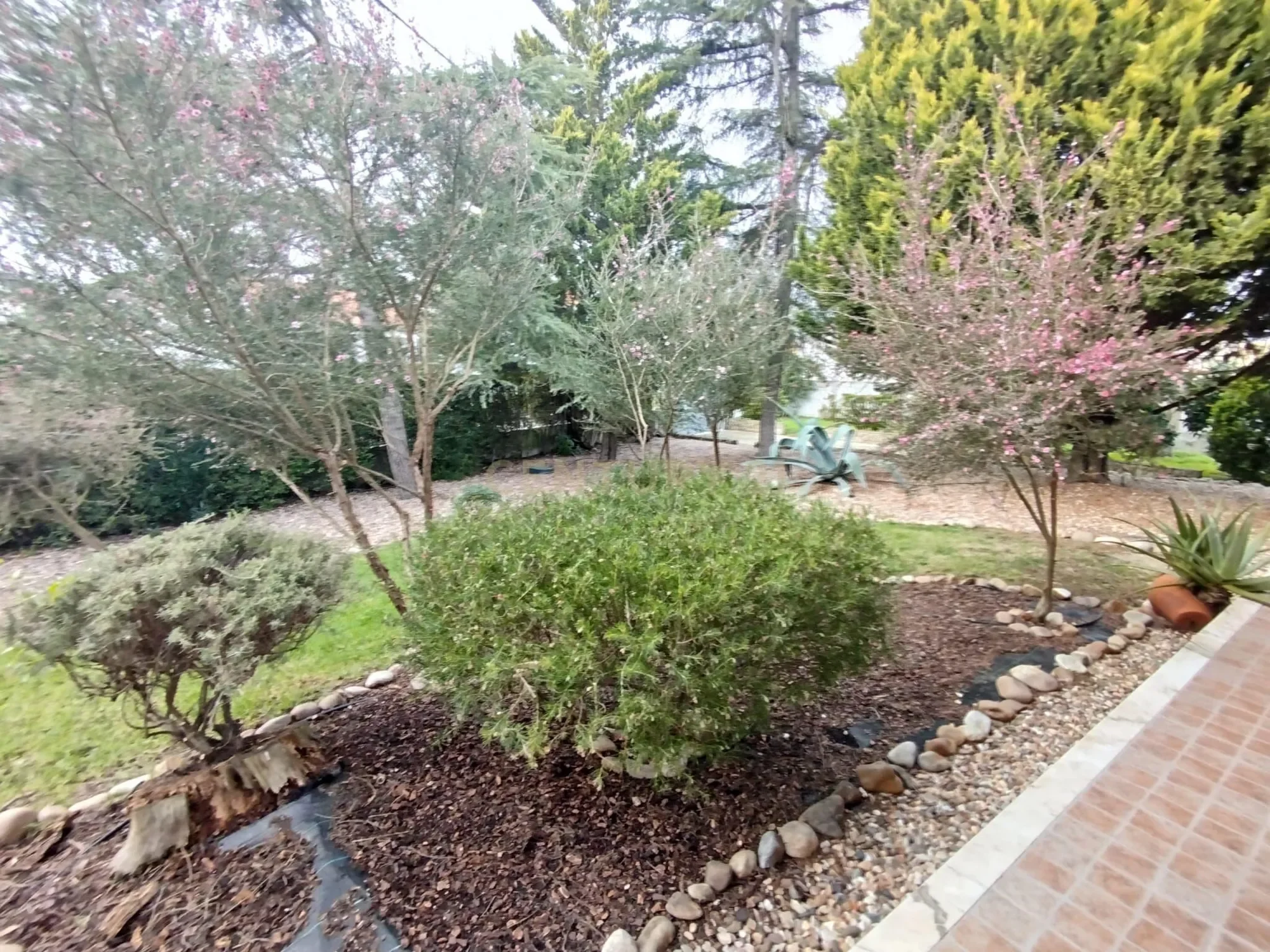 Gallery photo 5