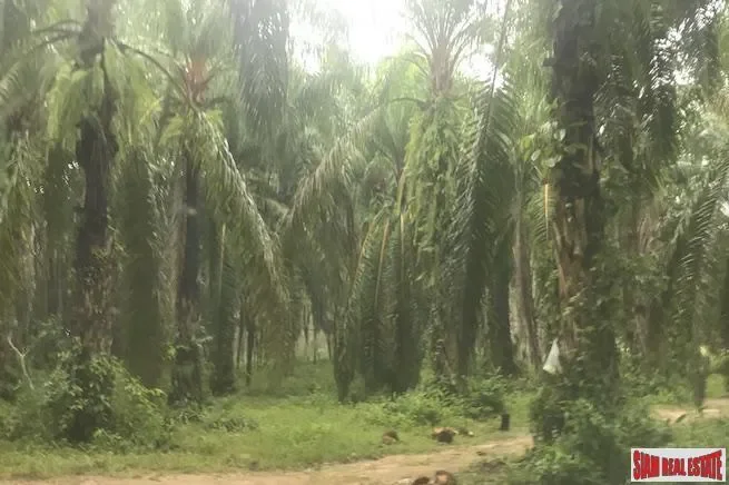Phang Nga,, Takdat, Phang-nga, Thailand. - Photo 3