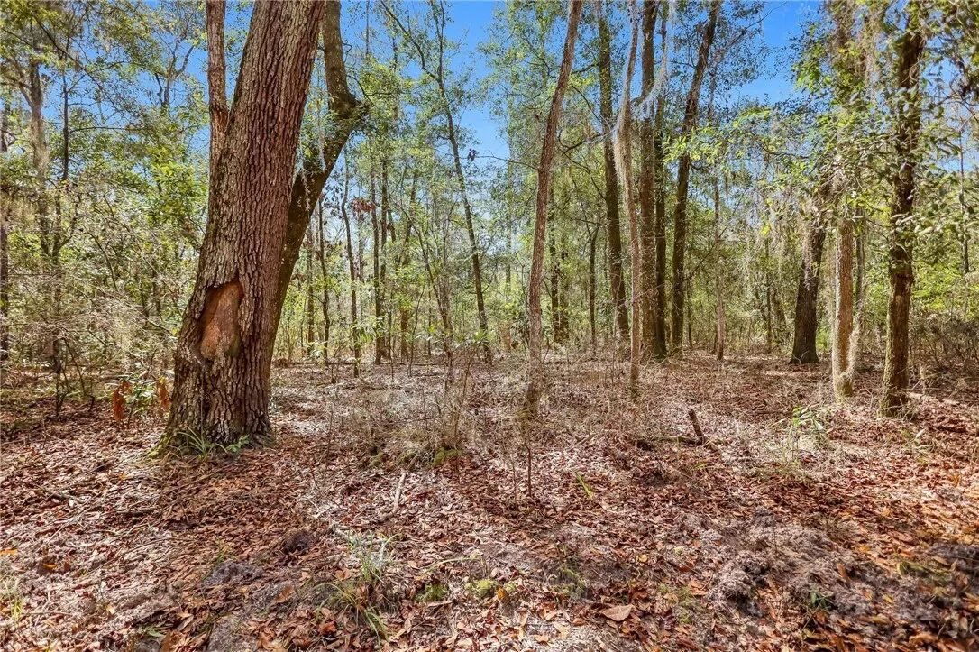 0 Drizzle Bluff Road, Woodbine, GA 31569, Woodbine, Georgia, United States. - Photo 3