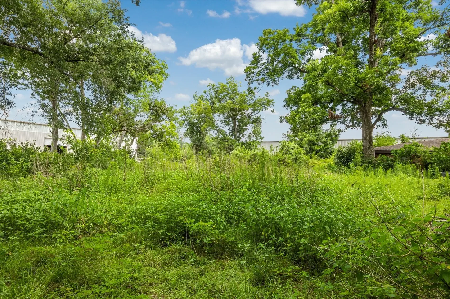 616 Spring Cypress Road, Spring, TX 77373, Spring, Texas, United States. - Photo 4