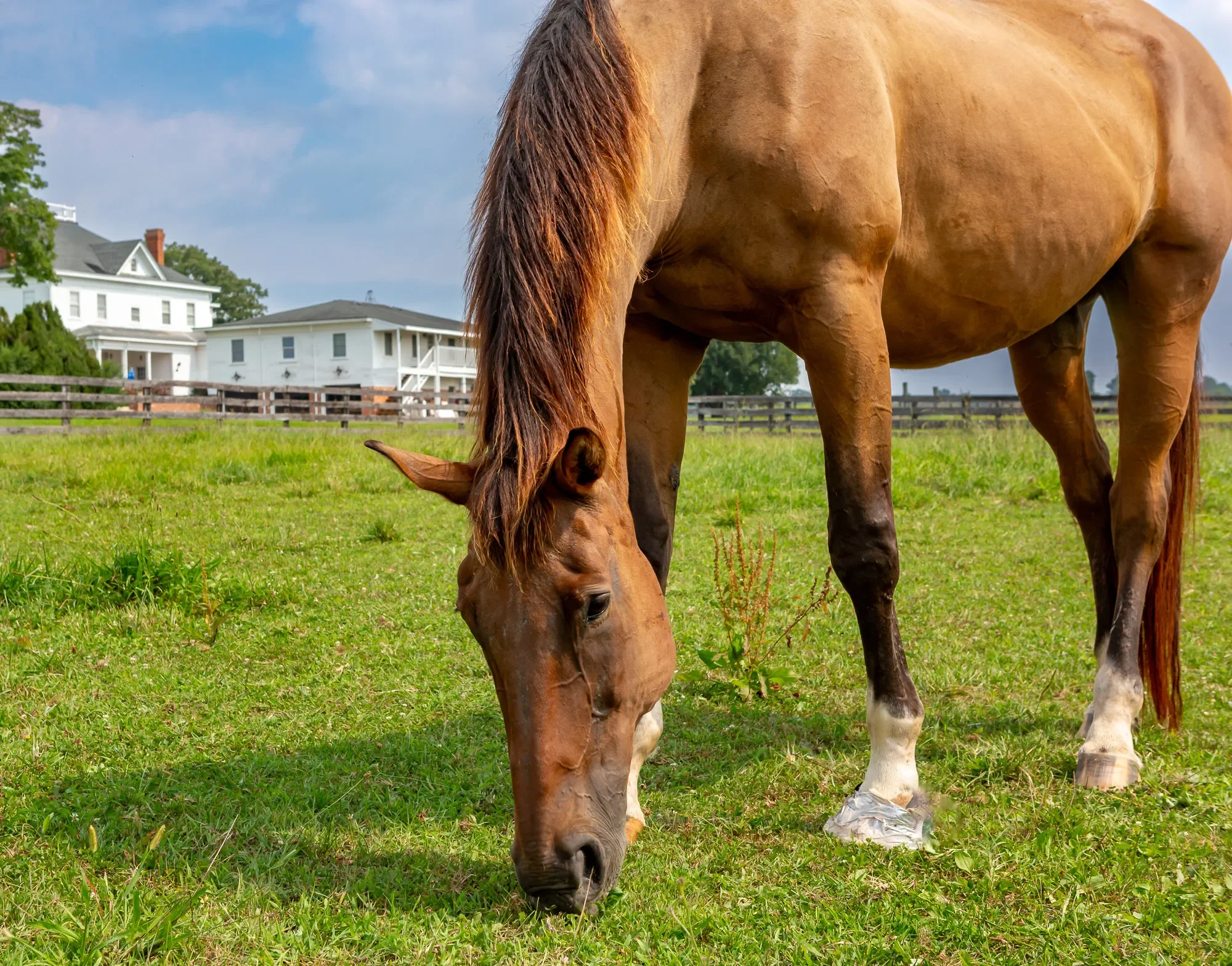 9313 Greenfield Farm, Scottsville, VA 24590, Cunningham, Virginia, United States. - Photo 40