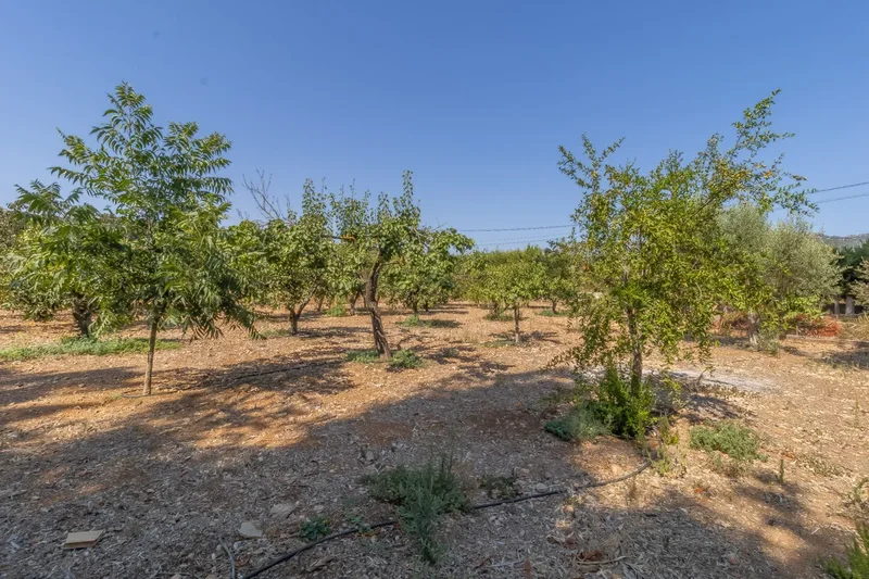 07310 Campanet, Balearic Islands, Spain, Campanet, Balearic Islands, Spain. - Photo 7