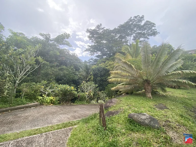 Punaauia, Punaauia, Puna'auia, Windward Islands, French Polynesia. - Photo 10
