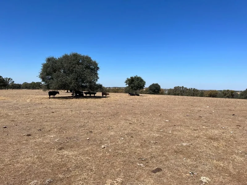 11176 S Camanche Parkway, Wallace, California, United States. - Photo 26