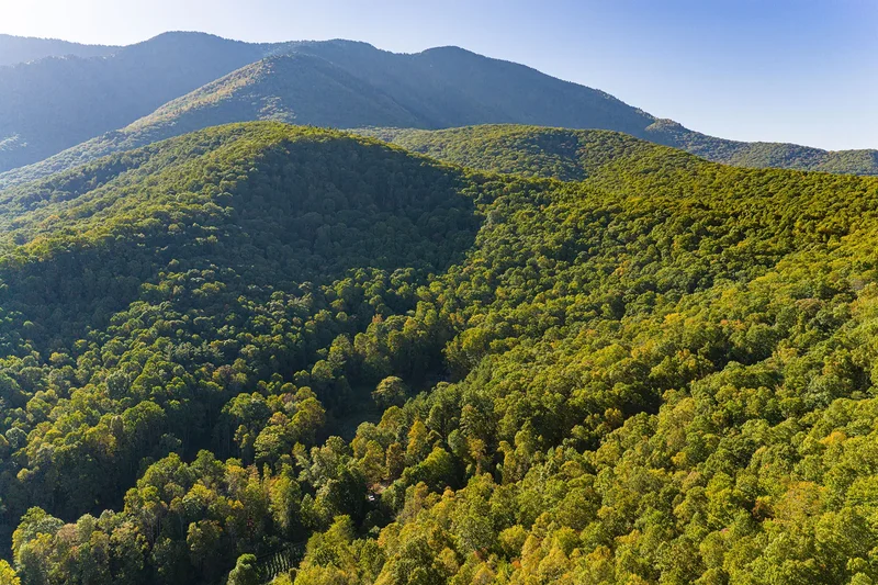 360 Banjo Branch Road, Burnsville, NC 28714, 28714, North Carolina, United States. - Photo 9