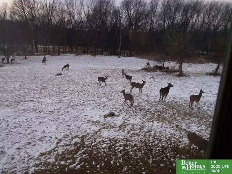 15560 S 79 Circle, Papillion, NE 68046, Papillion, Nebraska, United States. - Photo 29