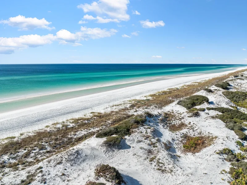 859 Sandgrass Boulevard , Santa Rosa Beach, FL 32459, Santa Rosa Beach, Florida, United States. - Photo 14