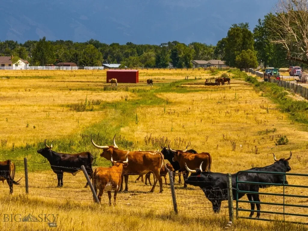 3455 Linney, Bozeman, Montana, United States. - Photo 12