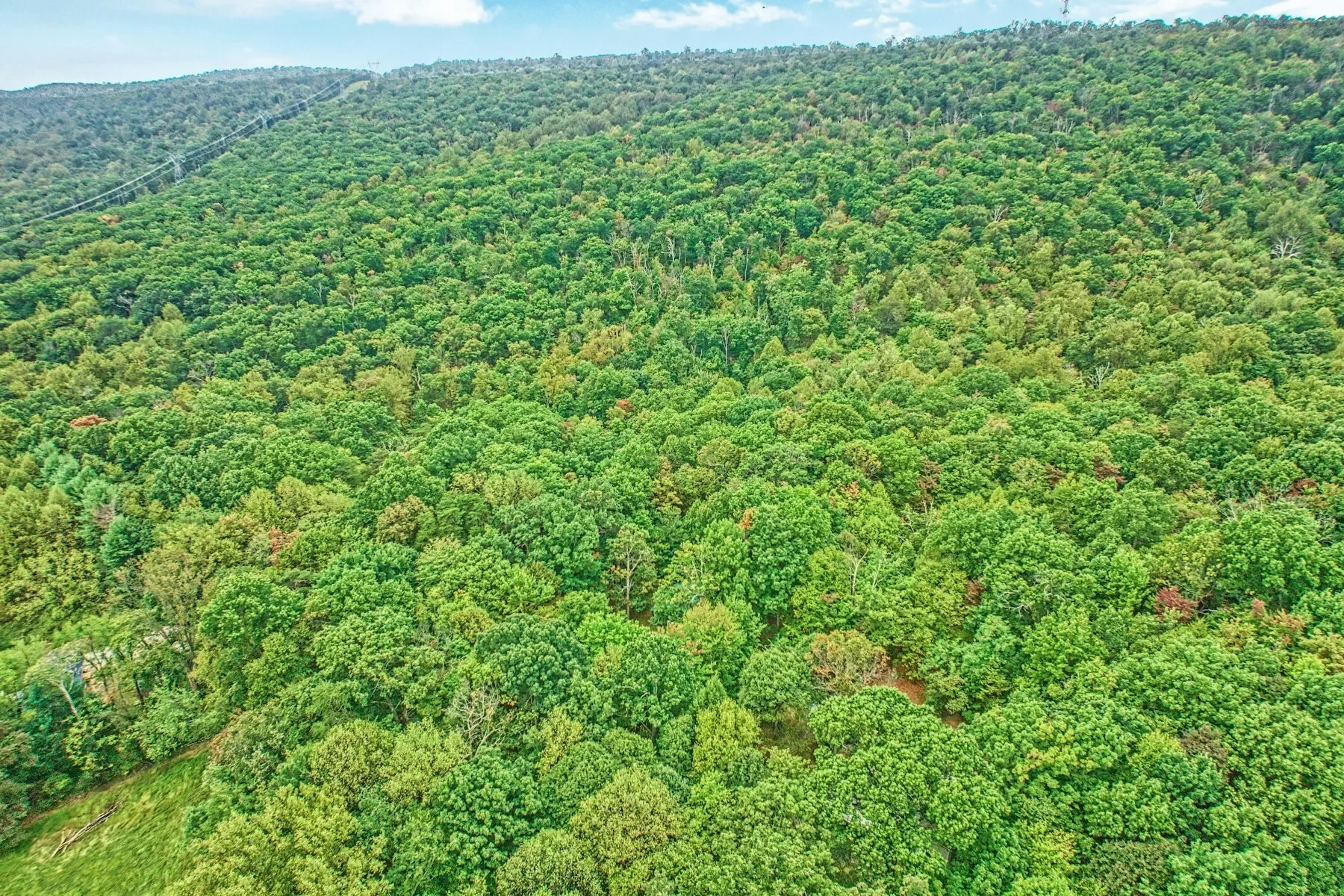 37740 Long Lane, Lovettsville, VA 20180, Lovettsville, Virginia, United States. - Photo 49