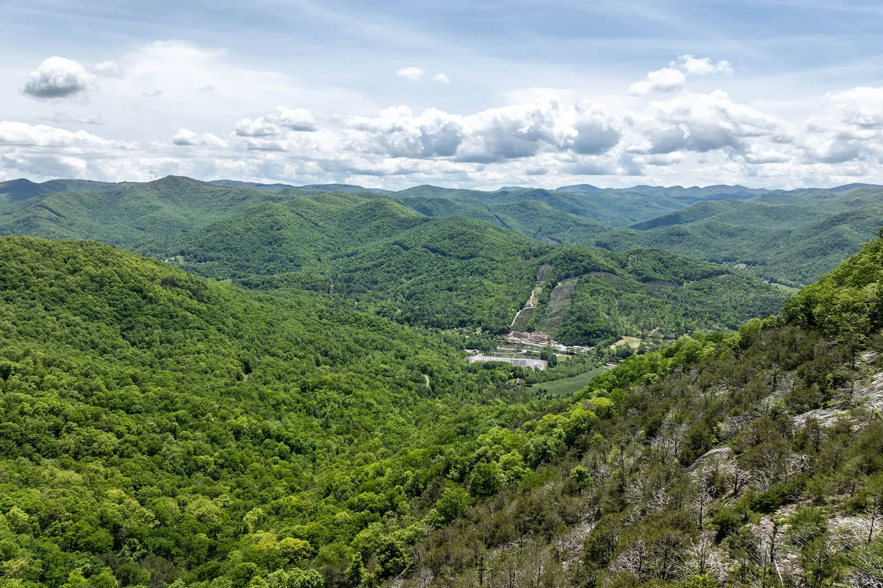 444 Woodring Cemetery Road, Tuckasegee, NC 28783, 28783, North Carolina, United States. - Photo 2