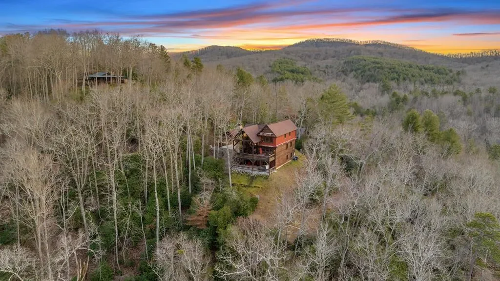 2085 Briar Cove Road, Morganton, Georgia, United States. - Photo 40