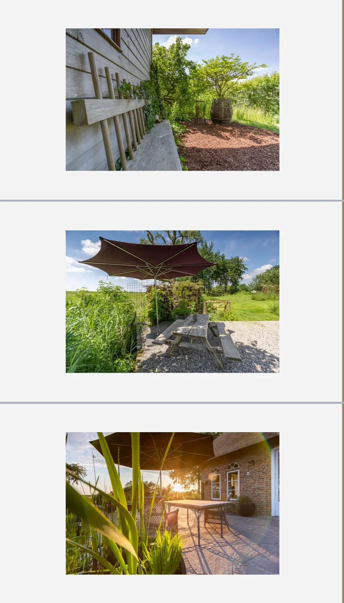 Gallery photo 6