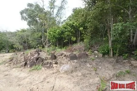 Surat Thani,, Surat Thani, Surat Thani, Thailand. - Photo 3