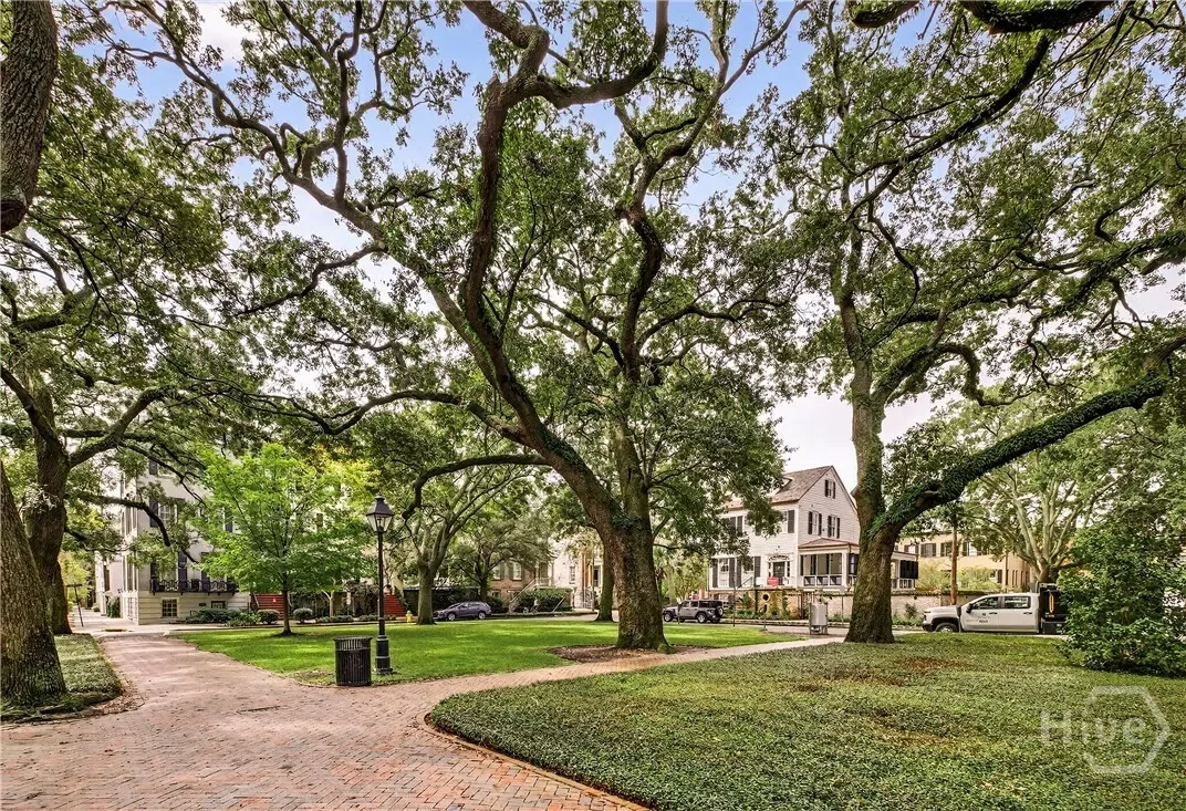 203 W Charlton Street, Savannah, Georgia, United States. - Photo 45