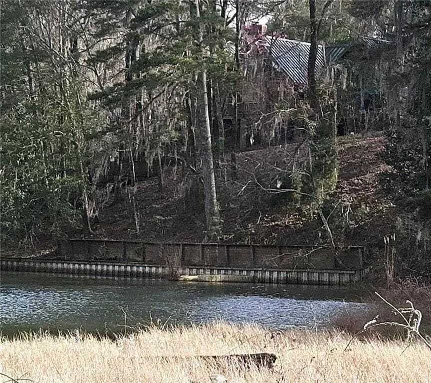250 Moore Meadow Drive, Georgetown, Georgia, United States. - Photo 47