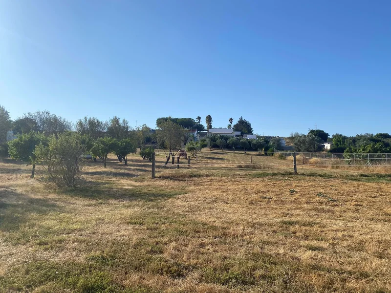 Hacienda / Cortijo 5 dormitorios - 658 m2