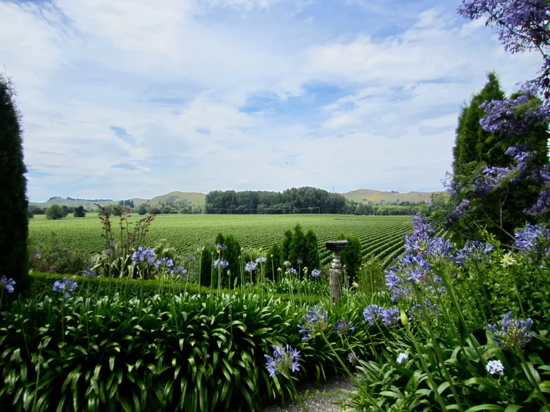 1 Breckenridge Lane Omarunui, Hastings, HKB 4183, Puketapu, Hawke's Bay, New Zealand. - Photo 23